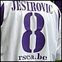 Jestrovic dérobé