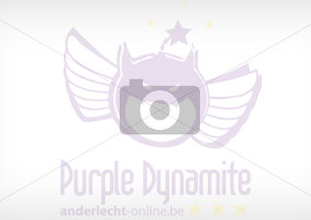 Anderlecht-Online Aucune image trouvée